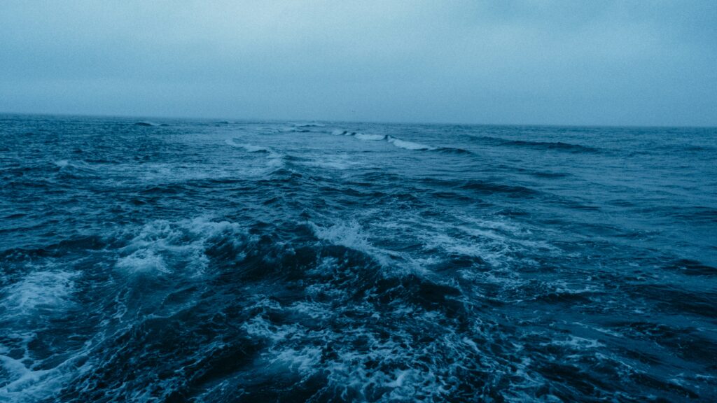 andrew-a-uAR0LstK7NE-unsplash