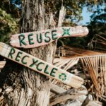 frames-for-your-heart-ScoPwAsdXqw-unsplash