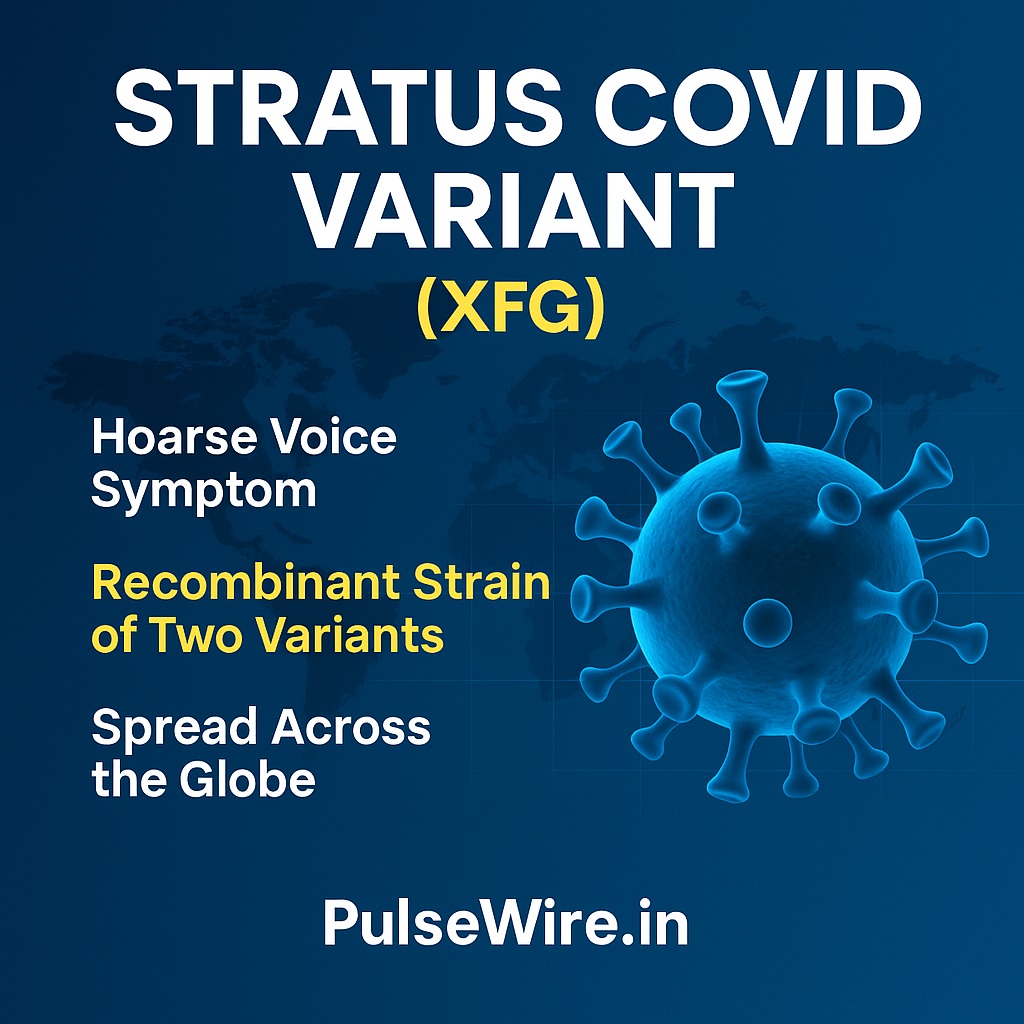 Strarus Covid Variant pulsewire.in Infographic titled 'STRATUS COVID VARIANT (XFG)' listing key characteristics: Hoarse Voice Symptom, Recombinant Strain of Two Variants, and Spread Across the Globe, with a 3D illustration of a coronavirus particle.