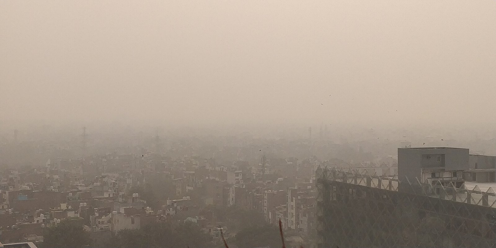 Delhi winter pollution plan from Nov 1: 50% work from home, curbs on outside vehicles, double parking fees