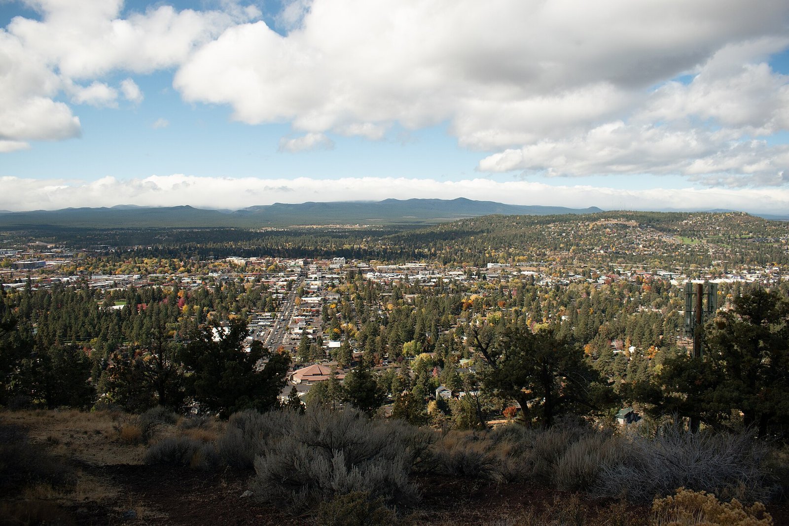 Oregon elementary school shooting kills three children and one adult; shooter also dead, sources say
